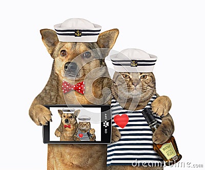 Dog with cat mariner makes selfie Stock Photo