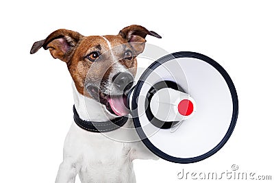 Dog megaphone Stock Photo