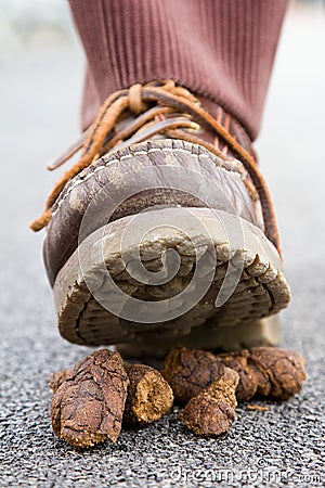 Dog mess Stock Photo