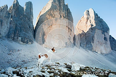 Dog in the mountains. Tracking, hiking with a pet. Brave Jack Russell Terrier on top Stock Photo