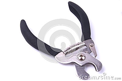 Dog nail clippers Stock Photo