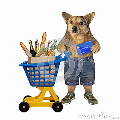 Dog near plastic trolley of food 2 Stock Photo