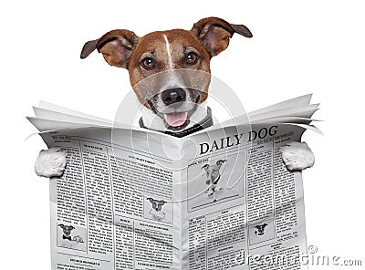 Dog newspaper Stock Photo