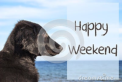 Dog At Ocean, Text Happy Weekend Stock Photo