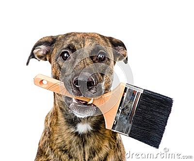 Dog With Paint Brush. Isolated On White Background Stock Photo - Image