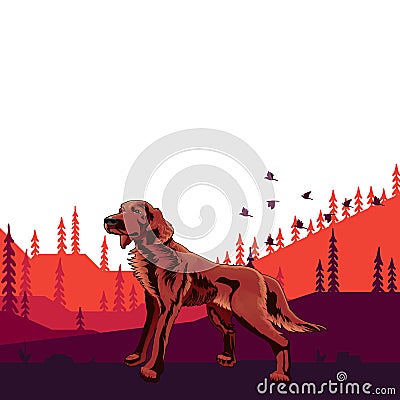 Dog pedigree Irish setter on the hunt, cartoon on a white back Vector Illustration