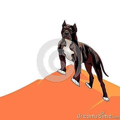 Dog pedigree Pitbull on a hill, cartoon on a white background. Vector Illustration