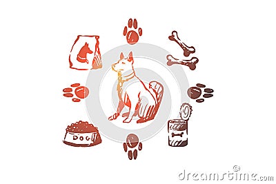 Dog, pet, animal, accessories, care concept. Hand drawn isolated vector. Vector Illustration