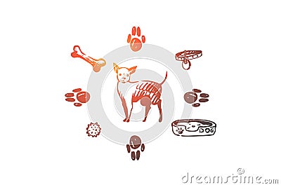 Dog, pet, animal, accessories, care concept. Hand drawn isolated vector. Vector Illustration