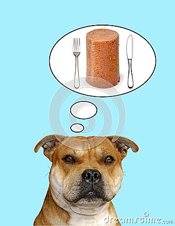 Dog Pet Food Fun Stock Photo