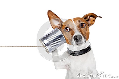 Dog on the phone Stock Photo