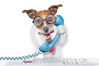 Dog on the phone Stock Photo