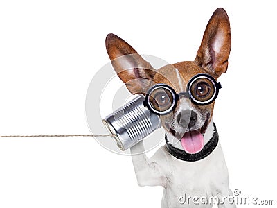 Dog on the phone Stock Photo