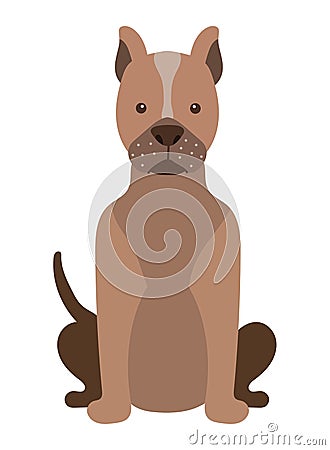 dog pitbull illustration Vector Illustration