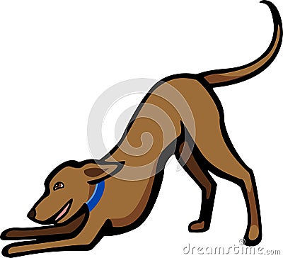 Dog in a Play Bow Vector Illustration