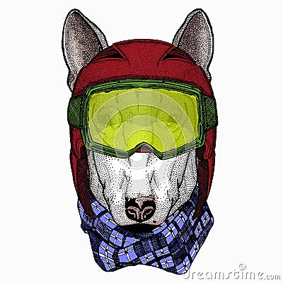 Dog portrait, bullterrier portrait, bullterrier head, dog head Vector Illustration