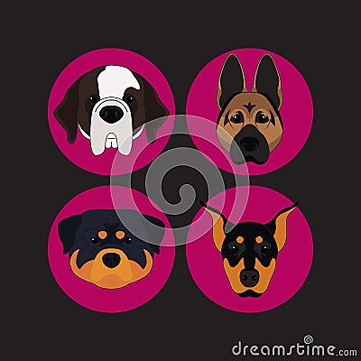 Dog and Puppy Set Doberman Vector and Icon Vector Illustration