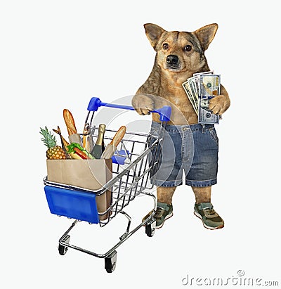 Dog pushing shopping cart 2 Stock Photo