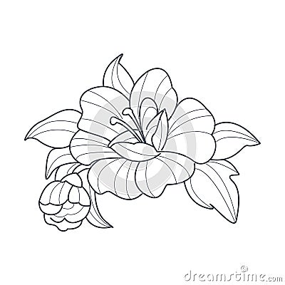 Dog Rose Flower Monochrome Drawing For Coloring Book Vector Illustration