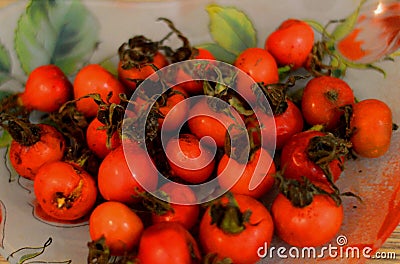 Dog-rose fruit! Plants Stock Photo