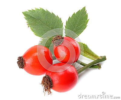 Dog Rose or wild rose Rosa canina berries with green leaf isolated on white background Stock Photo