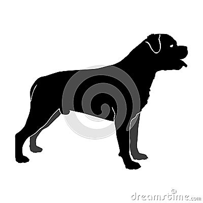 Dog Rottweiler breed. Silhouette Vector Illustration