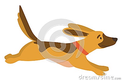 Dog Running in Autumn Park, Doggy Going Vector Vector Illustration