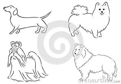 4 dog`s breeds Cartoon Illustration