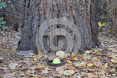 Dog`s grave site with cross ball and collar. Editorial Stock Photo