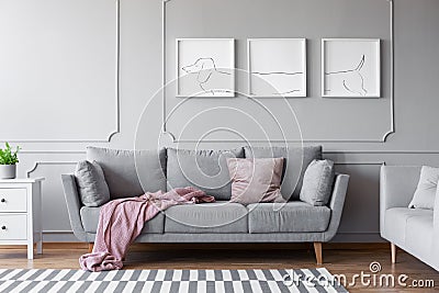 Dog`s posters above comfortable grey couch in stylish living room interior with two sofas Stock Photo