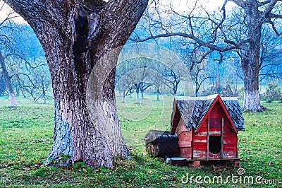 Dog shed in courtyard Stock Photo