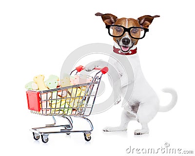 Dog with shopping cart Stock Photo