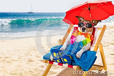 Dog siesta on beach chair Stock Photo