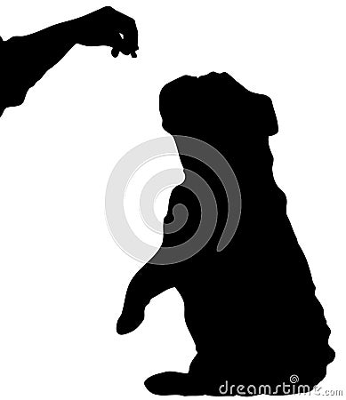 Dog sitting begging for treat Vector Illustration