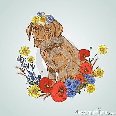 Dog sitting with flowers Cartoon Illustration