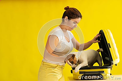 Dog is sitting in a suitcase next to a laughing woman on a yellow background. The girl is going on a trip with a pet Stock Photo