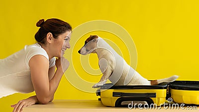 Dog is sitting in a suitcase next to a laughing woman on a yellow background. The girl is going on a trip with a pet Stock Photo