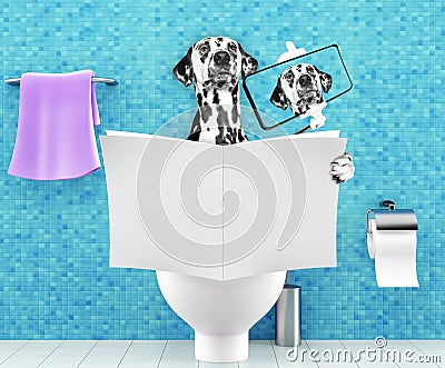 Dog sitting on a toilet seat with digestion problems or constipation reading magazine or newspaper and making selfie Stock Photo