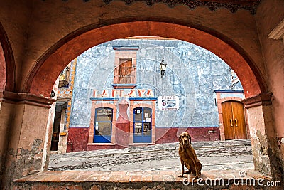 Dog sitting under arch in Bernal, Queretaro, Mexico Editorial Stock Photo