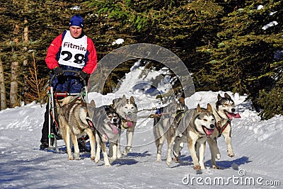 Dog sled race Editorial Stock Photo