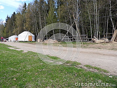 Dog sledding in summer in the Park, Sunny day Stock Photo