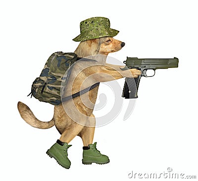 Dog soldier holds a gun Stock Photo