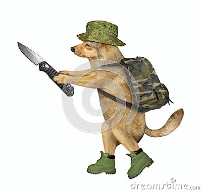 Dog soldier holds a jackknife Stock Photo