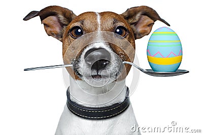 Dog with spoon and easter egg Stock Photo