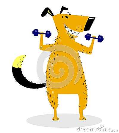 Dog Sporting with dumbbells. Dog pumping muscle Vector Illustration
