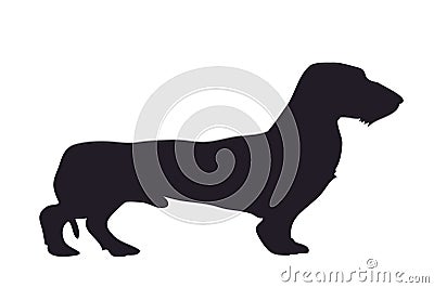 Dog stands dachshund, silhouette, vector Vector Illustration