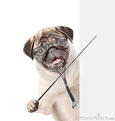 Dog with a stethoscope on his neck holding a pointing stick and points on empty banner. isolated on white background Stock Photo