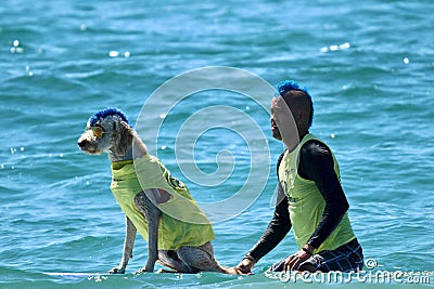 Dog surfing event in Huntington Beach California Editorial Stock Photo