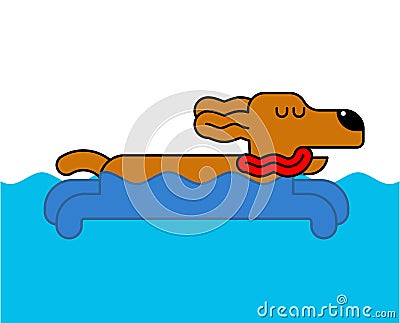 Dog swimming isolated. Home pet in water. Vector illustration Vector Illustration