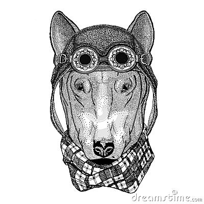 DOG for t-shirt design wearing aviator hat Motorcycle hat with glasses for biker Illustration for motorcycle or aviator Stock Photo